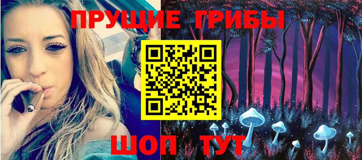 Псилоцибиновые грибы прущие грибы Новоалександровск