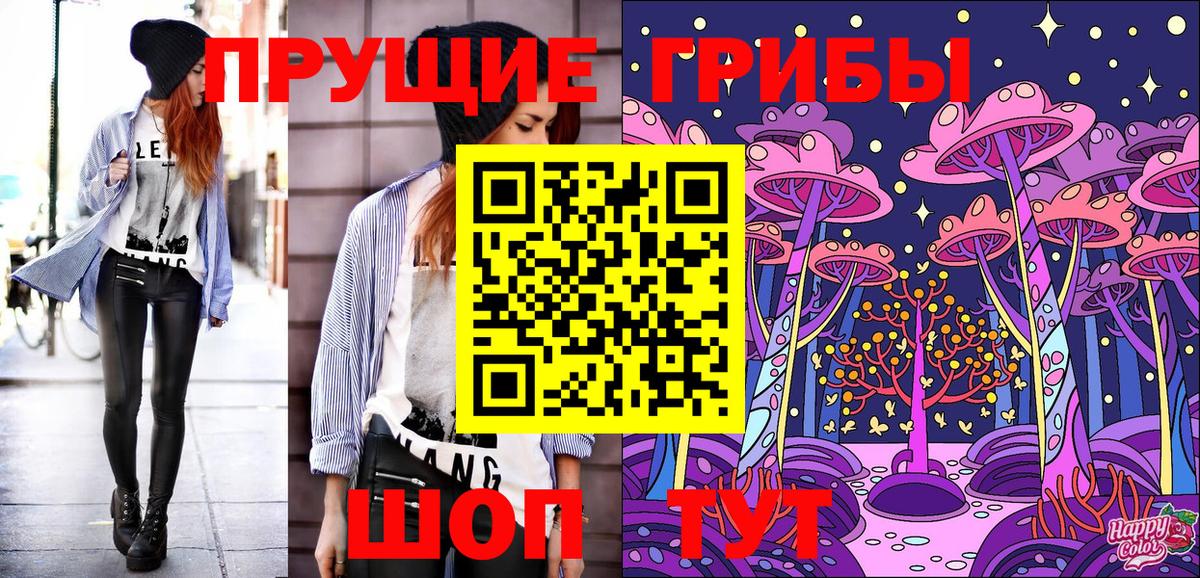 Галлюциногенные грибы Psilocybe  Вход с VPN  Новоалександровск 
